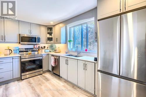 18 Ewing Street, Halton Hills, ON - Indoor Photo Showing Kitchen With Double Sink