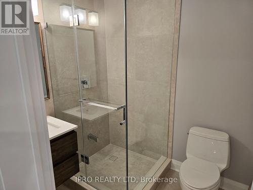 2 - 31 Wildhorse Lane, Brampton, ON - Indoor Photo Showing Bathroom