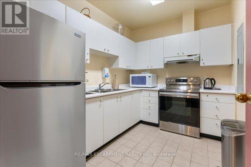 225 - 8111 Forest Glen Drive, Niagara Falls (Mt. Carmel), ON - Indoor Photo Showing Kitchen With Double Sink