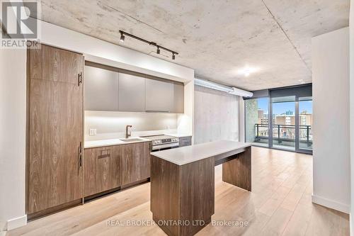 512 - 10 James Street, Ottawa, ON - Indoor Photo Showing Kitchen With Upgraded Kitchen