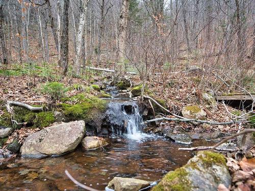 Land/Lot - Ch. Victor-Beauchemin, Mont-Blanc, QC 