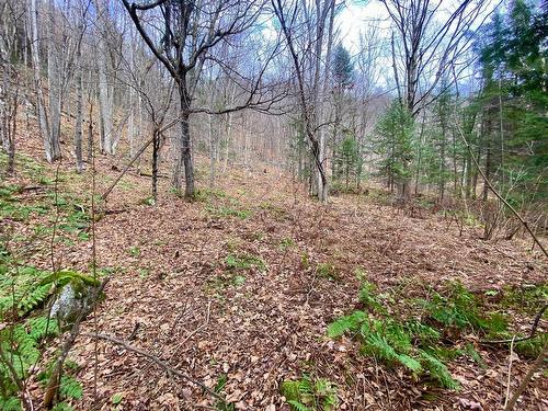 Land/Lot - Ch. Victor-Beauchemin, Mont-Blanc, QC 