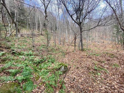 Land/Lot - Ch. Victor-Beauchemin, Mont-Blanc, QC 