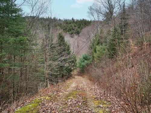 Land/Lot - Ch. Victor-Beauchemin, Mont-Blanc, QC 