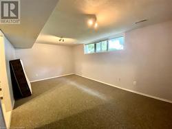 Basement featuring carpet floors - 