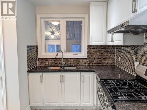 391 Wenlock Avenue, Richmond Hill, ON - Indoor Photo Showing Kitchen With Double Sink