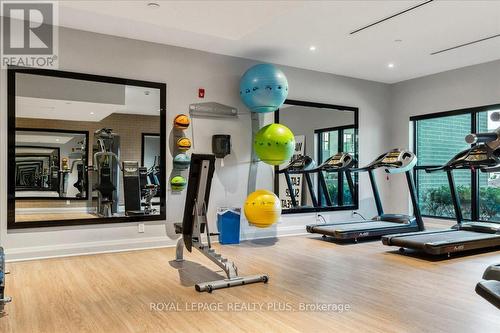 338 - 102 Grovewood Common, Oakville, ON - Indoor Photo Showing Gym Room