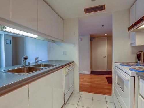 Cuisine - 1703-1625 Av. Lincoln, Montréal (Ville-Marie), QC - Indoor Photo Showing Kitchen With Double Sink