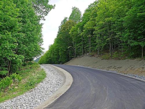 ExtÃ©rieur - 52 Ch. De La Rivière, Piedmont, QC - Outdoor