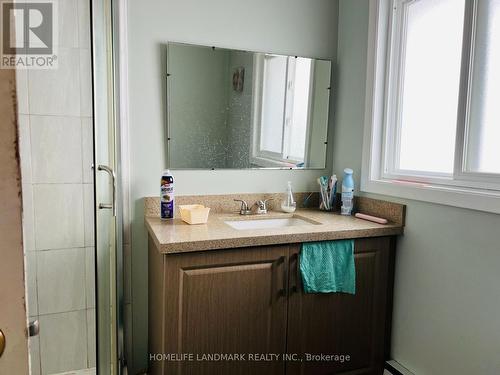 51 Malamute Crescent, Toronto, ON - Indoor Photo Showing Bathroom