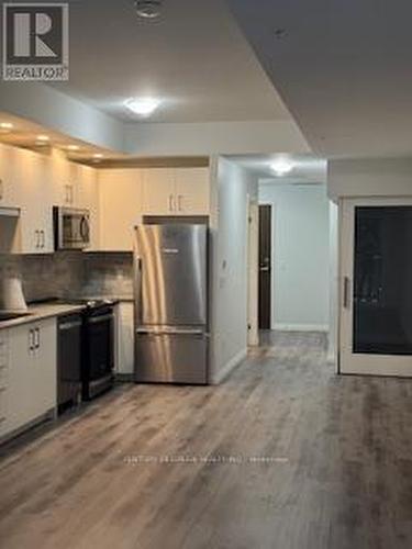 203 - 108 Garment Street, Kitchener, ON - Indoor Photo Showing Kitchen