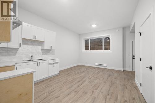 Basement 10522 Mcveety St, Maple Ridge, BC - Indoor Photo Showing Kitchen