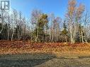 Lot 2 O'Keefe, Miramichi, NB 