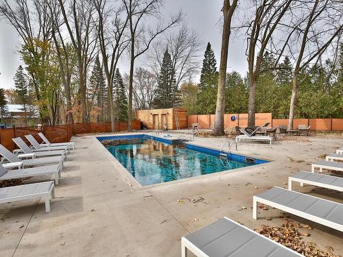 Piscine - 123-2000 Rue Benoit, Saint-Bruno-De-Montarville, QC - Outdoor With In Ground Pool