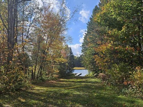 Autre - Ch. Fournelle, Sainte-Lucie-Des-Laurentides, QC 