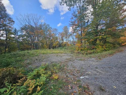 Autre - Ch. Fournelle, Sainte-Lucie-Des-Laurentides, QC 