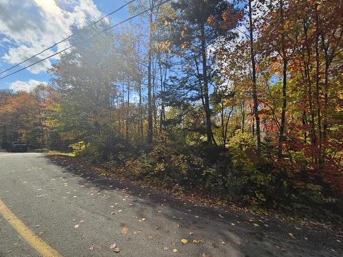 Autre - Ch. Fournelle, Sainte-Lucie-Des-Laurentides, QC 