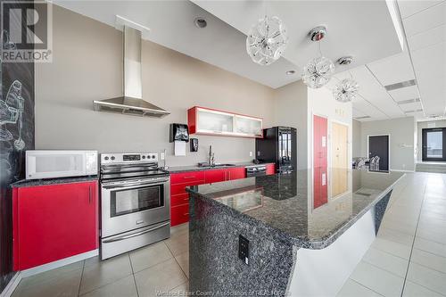 2175 Wyandotte Street East Unit# 213, Windsor, ON - Indoor Photo Showing Kitchen