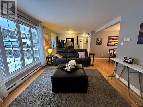 48 Atlantic Avenue, Corner Brook, NL - Indoor Photo Showing Living Room