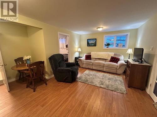 48 Atlantic Avenue, Corner Brook, NL - Indoor Photo Showing Living Room