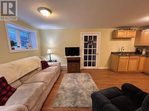 48 Atlantic Avenue, Corner Brook, NL - Indoor Photo Showing Living Room