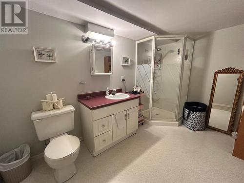 48 Atlantic Avenue, Corner Brook, NL - Indoor Photo Showing Bathroom