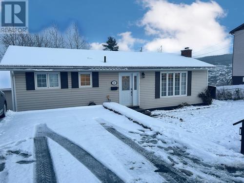 48 Atlantic Avenue, Corner Brook, NL - Outdoor