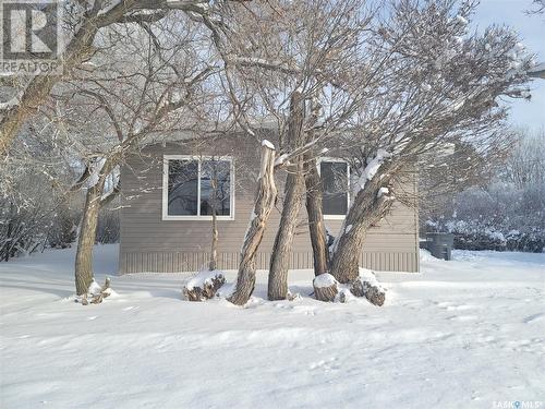 101 Campkin Street, Francis, SK 