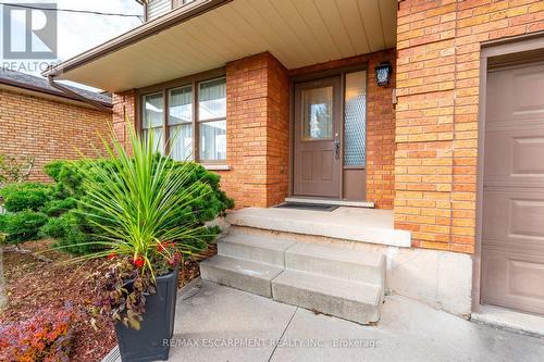 145 Homeside Avenue, Hamilton, ON - Outdoor