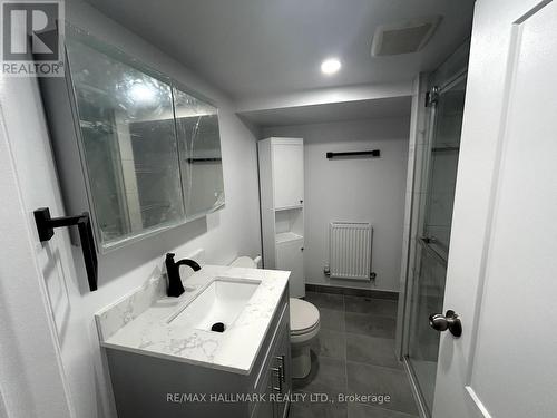 Lower - 100 Lawton Boulevard, Toronto, ON - Indoor Photo Showing Bathroom