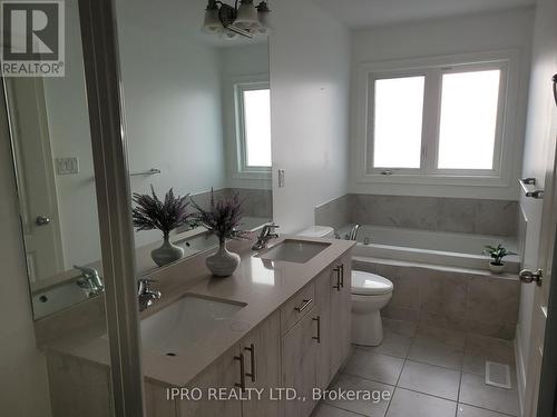 47 Brushwood Drive, Brampton, ON - Indoor Photo Showing Bathroom