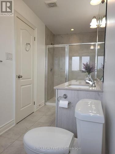 47 Brushwood Drive, Brampton, ON - Indoor Photo Showing Bathroom