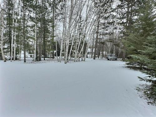 Cour - 1025 Ch. Du Vieux-Fort, Duhamel-Ouest, QC - Outdoor With View