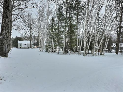 Cour - 1025 Ch. Du Vieux-Fort, Duhamel-Ouest, QC - Outdoor