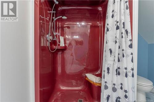 167 Todds Point Road, Dufferin, NB - Indoor Photo Showing Bathroom