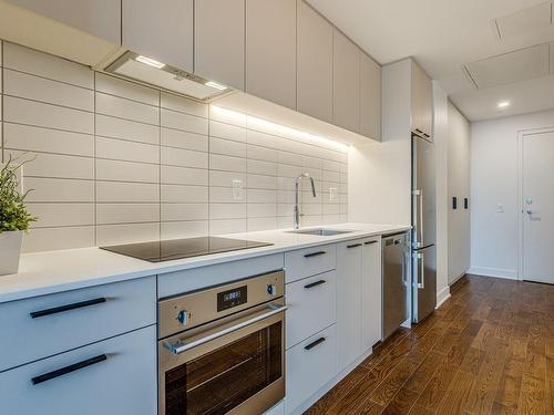 Kitchen - 222-1150 Boul. René-Lévesque E., Montréal (Ville-Marie), QC - Indoor Photo Showing Kitchen With Upgraded Kitchen