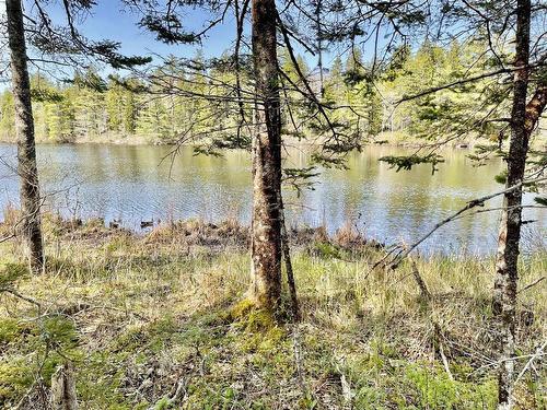 Lot 3 Pigott Lake Road, Lakelands, NS 