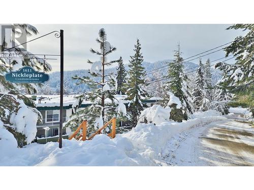 1611 Nickleplate Road Unit# 407 Lot# Sl 26, Rossland, BC - Outdoor With View