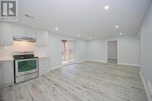 252 Shady Glen Crescent, Kitchener, ON - Indoor Photo Showing Kitchen