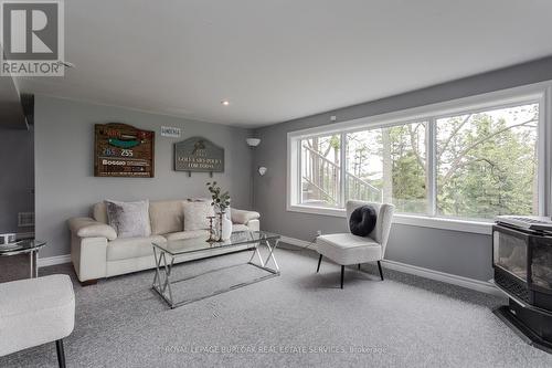 1119 Concession 8 Road W, Hamilton, ON - Indoor Photo Showing Living Room