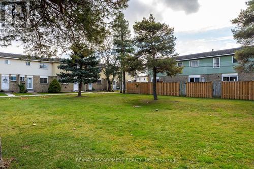 M - 25 Bryna Avenue, Hamilton, ON - Outdoor