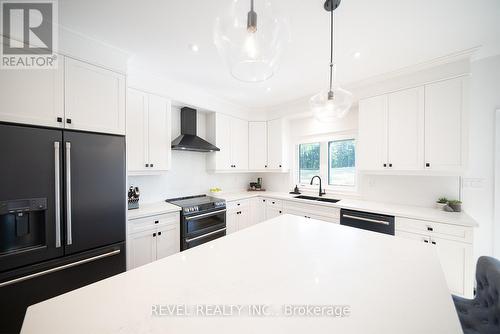 113 Daugaard Avenue, Brant, ON - Indoor Photo Showing Kitchen With Upgraded Kitchen