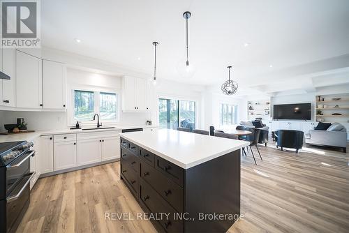 113 Daugaard Avenue, Brant, ON - Indoor Photo Showing Kitchen With Upgraded Kitchen