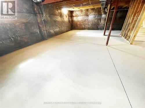 196 Midland Place, Welland, ON - Indoor Photo Showing Basement