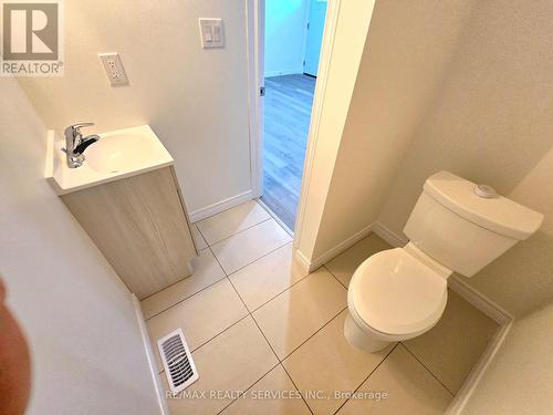 289 Chatham Street, Brantford, ON - Indoor Photo Showing Bathroom