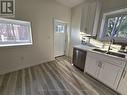 289 Chatham Street, Brantford, ON  - Indoor Photo Showing Kitchen With Double Sink 