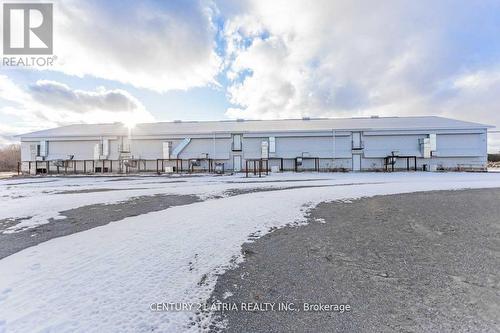 3897 Concession Rd  4, Clarington, ON 