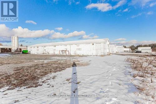 3897 Concession Rd  4, Clarington, ON 