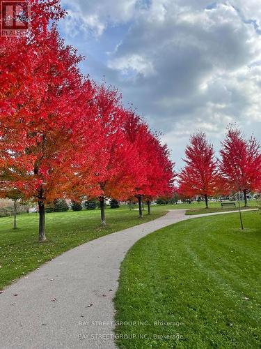 302 Hammersly Boulevard, Markham, ON - Outdoor With View