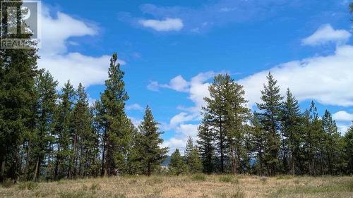 640 Highway 3 Unit# 1, Princeton, BC 